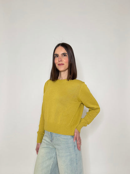 Maglia girocollo in 100% cotone Senape