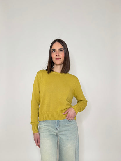 Maglia girocollo in 100% cotone Senape